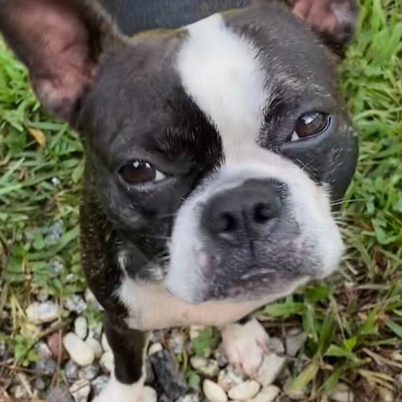 ✨ LIVE SHOW POSH AMBASSADOR ll GIVEAWAYS!💎 - Picture 6 of 12